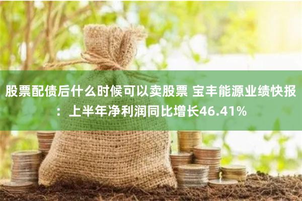 股票配债后什么时候可以卖股票 宝丰能源业绩快报：上半年净利润同比增长46.41%