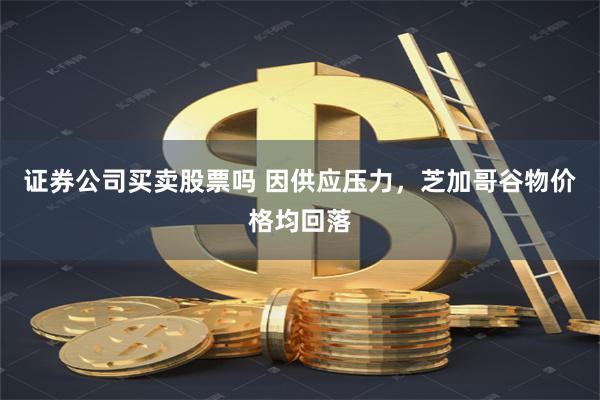 证券公司买卖股票吗 因供应压力，芝加哥谷物价格均回落