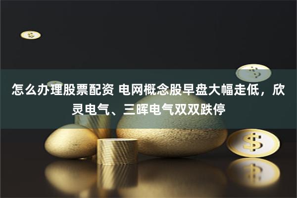 怎么办理股票配资 电网概念股早盘大幅走低，欣灵电气、三晖电气双双跌停